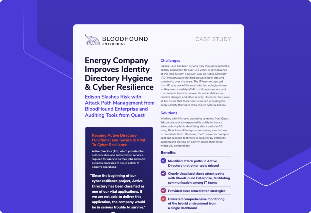 Energy Company Improves Identity Directory Hygiene & Cyber Resilience