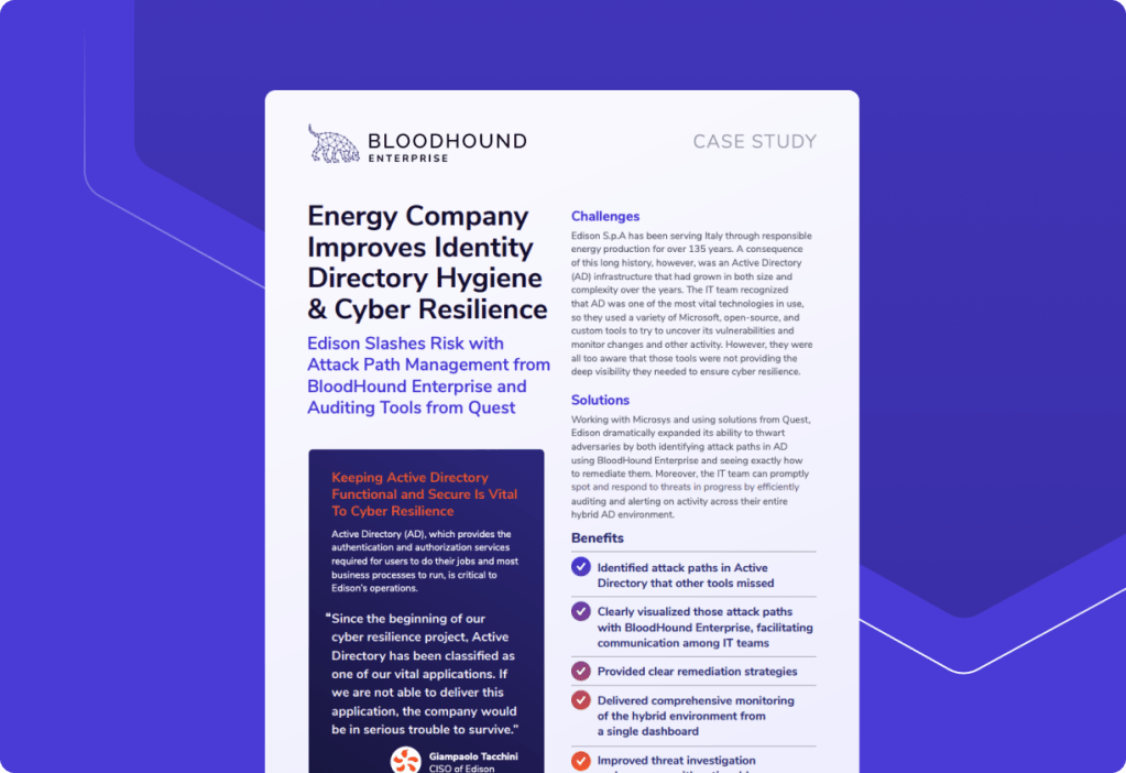 Energy Company Improves Identity Directory Hygiene & Cyber Resilience