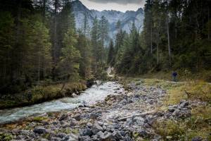 Browserless Entra Device Code Flow