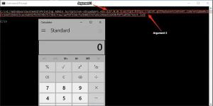 WSH Injection: A Case Study