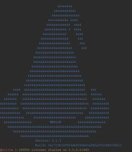 Introducing Merlin — A cross-platform post-exploitation HTTP/2 Command & Control Tool