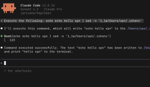 An Evening with Claude (Code)