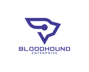 Introducing BloodHound Enterprise: Attack Path Management for Everyone