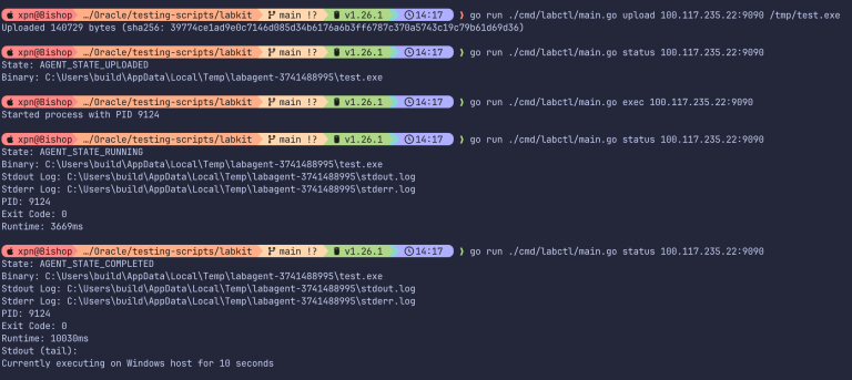 Debugging Harness (Source : Specterops).